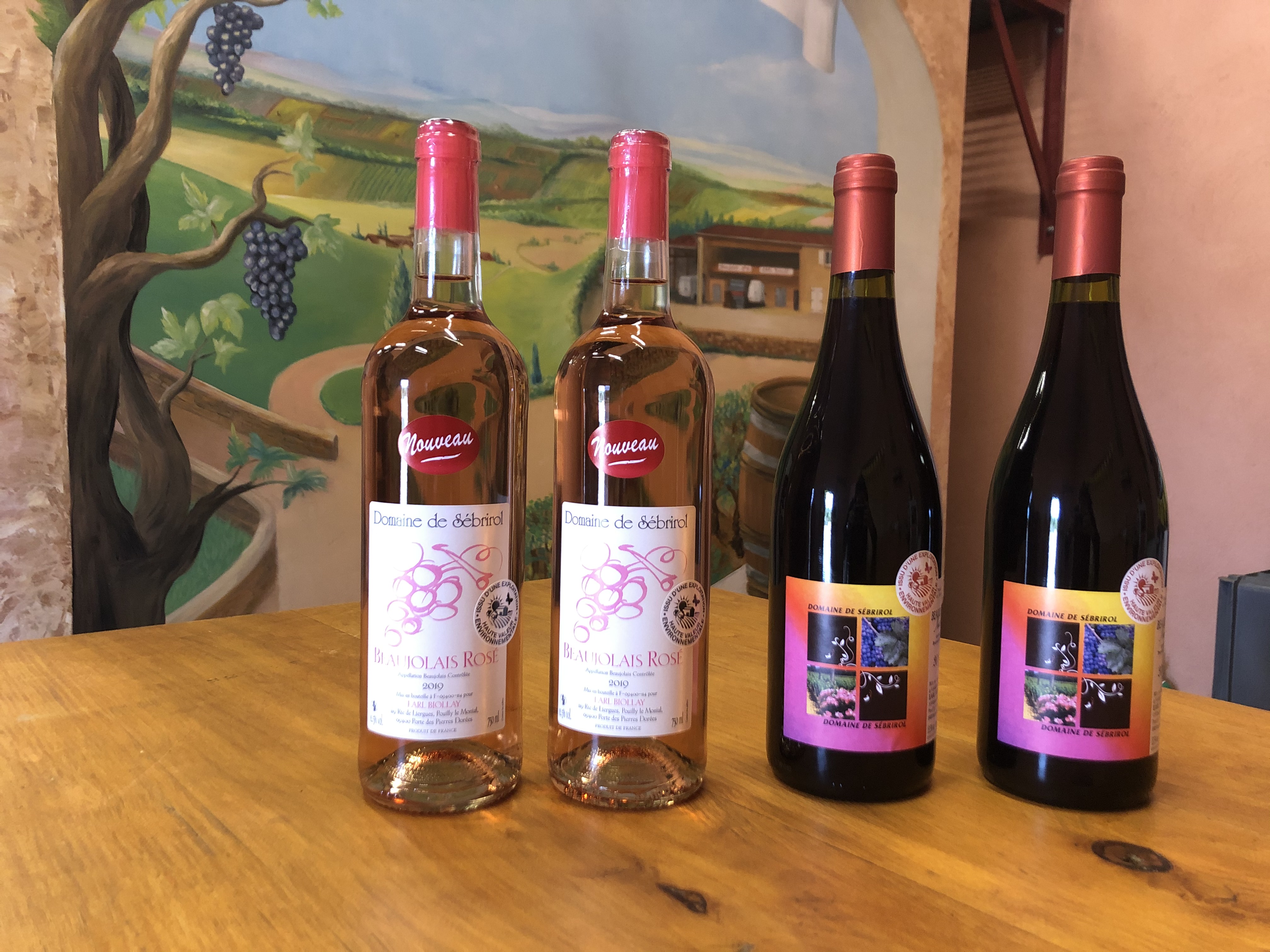 Découvrez notre vignoble Découvrez notre vignoble